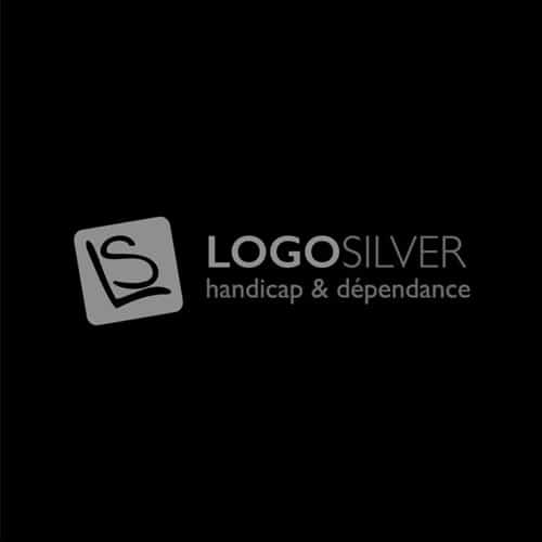 Logosilver nb 1